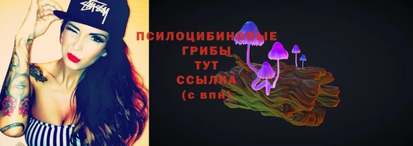 PSILOCYBIN Алексеевка