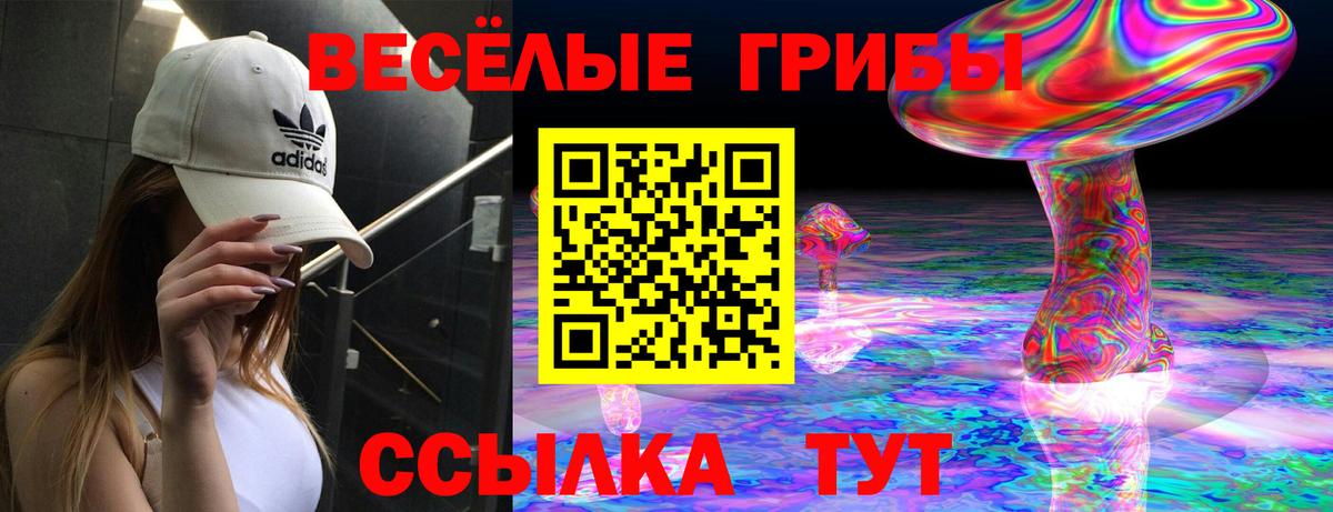 Галлюциногенные грибы прущие грибы  Вход с VPN  Лениногорск 